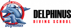 logo dophinus